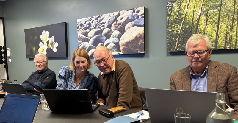 Digitalt samarbeidsmøte